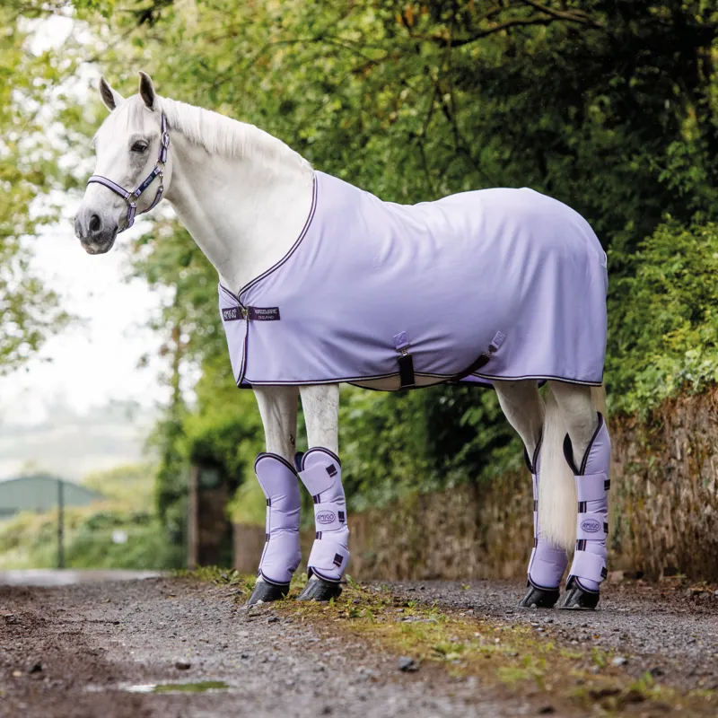 Amigo Jersey Cooler - Lavender/Plum